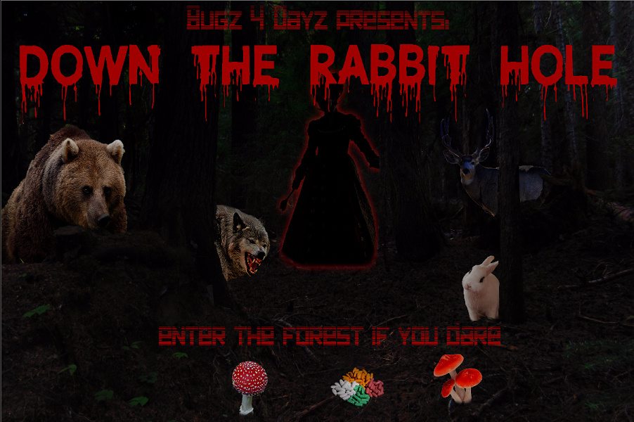 Down The rabbit Hole Main Screen